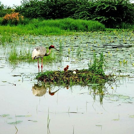 Ibishouse Farm Stay Bharatpur Esterno foto
