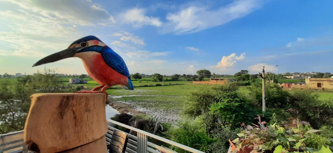 Ibishouse Farm Stay Bharatpur Esterno foto