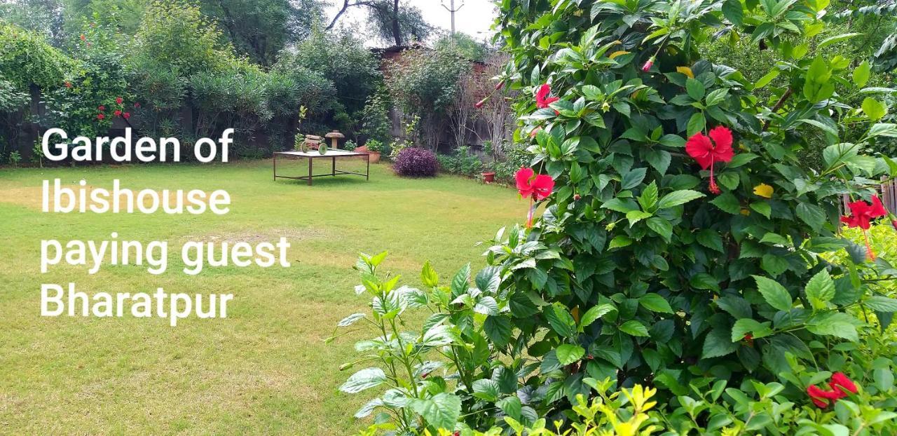 Ibishouse Farm Stay Bharatpur Esterno foto