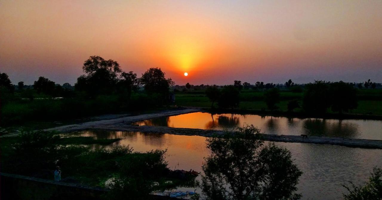 Ibishouse Farm Stay Bharatpur Esterno foto