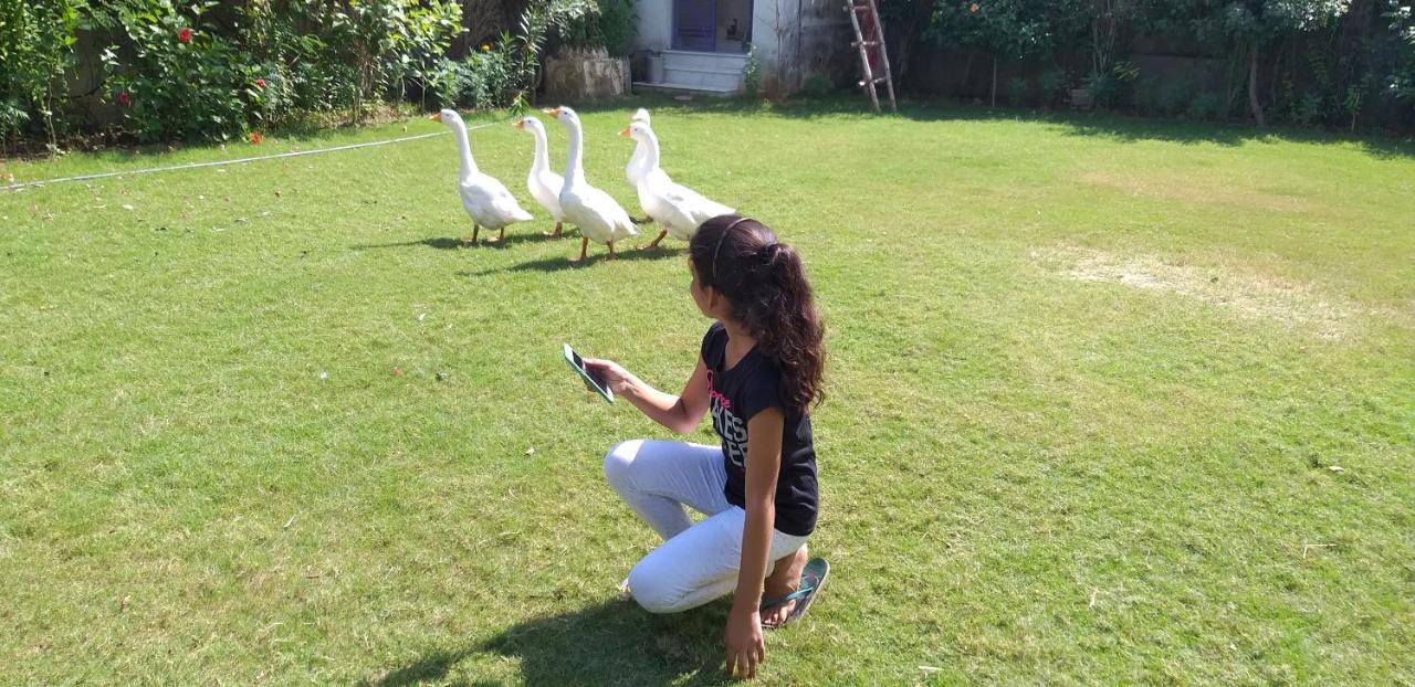 Ibishouse Farm Stay Bharatpur Esterno foto