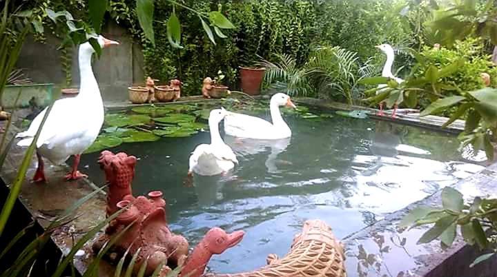 Ibishouse Farm Stay Bharatpur Esterno foto