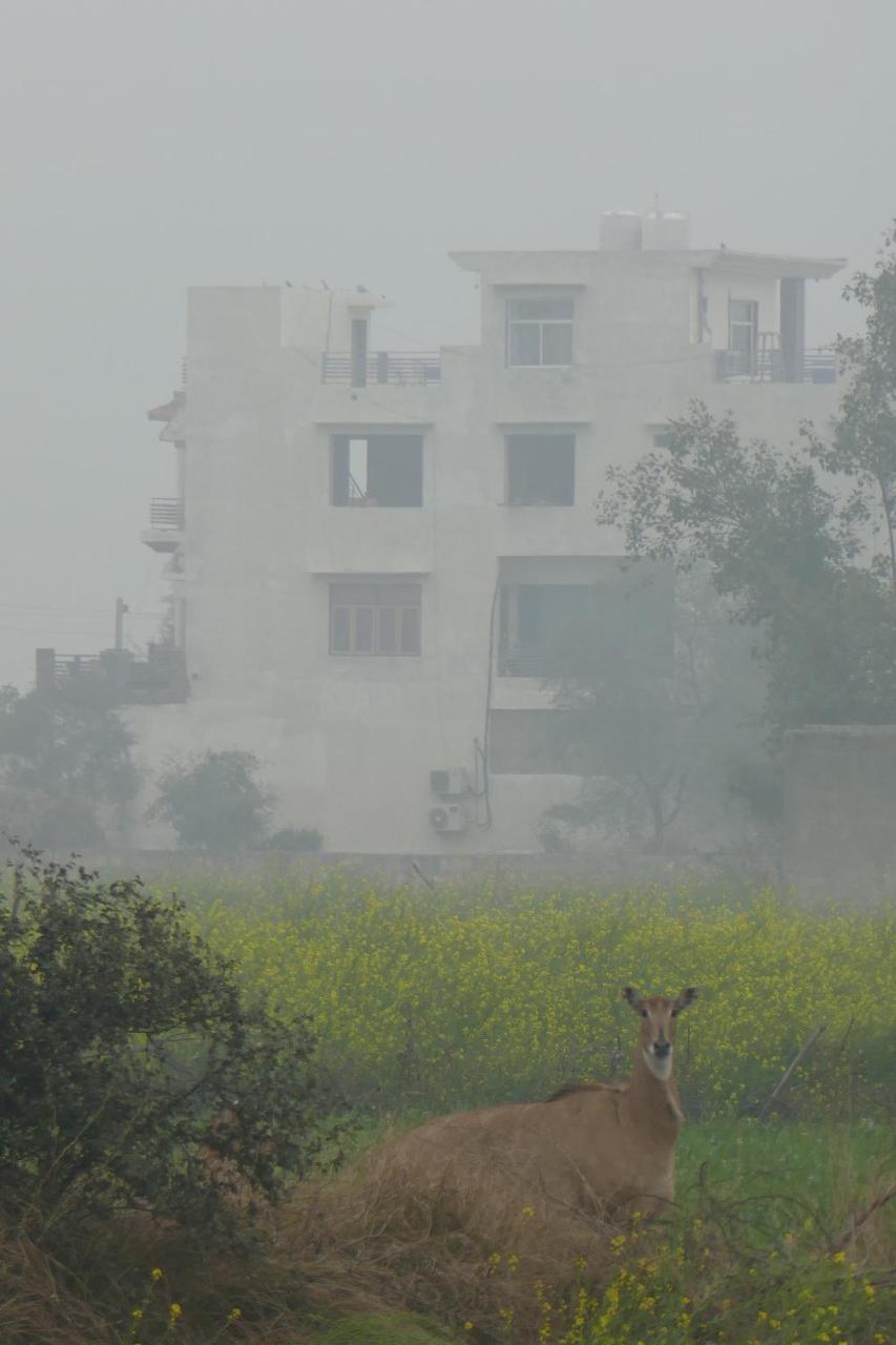 Ibishouse Farm Stay Bharatpur Esterno foto